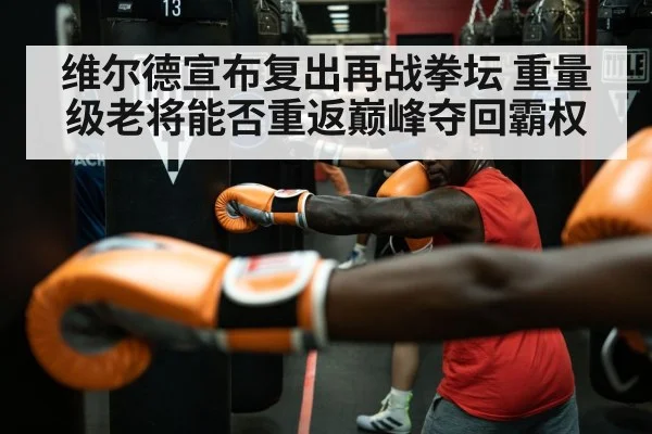 维尔德宣布复出再战拳坛 重量级老将能否重返巅峰夺回霸权